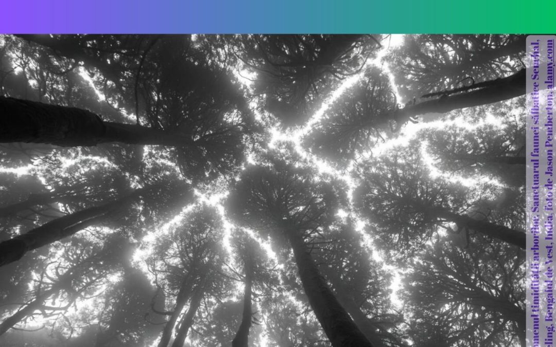 Colocviul Național al Doctoranzilor „Inter homines esse“ („A fi printre oameni“): Reflecții asupra conviețuirii în epoca pluralității: 13–14 martie 2026