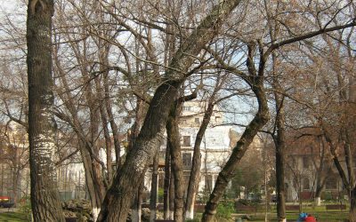 „MIN(U)TE DE FILOSOFIE” – Concurs de contribuții filosofice adresat liceenilor