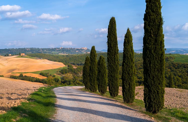 Înscrieri program CIVIS – Is There a Plurality of Natures? Intercultural Reflections on the Philosophy of Nature