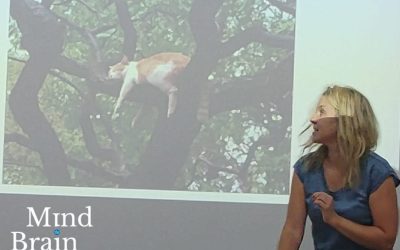 Masterclass ‘Evolutionary Psychology’ delivered by Zuzanna Rucinska (Antwerp) between October 5-13, 2025