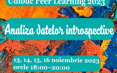 Atelierul „Analiza datelor introspective”, 13-16 noiembrie 2023
